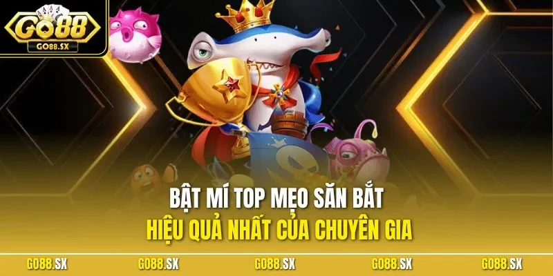 Bật mí top mẹo săn bắt hiệu quả nhất của chuyên gia